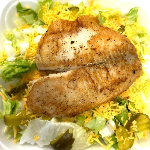 Two seasoned fish fillets on a bed of lettuce, shredded cheese, and pickle slices.